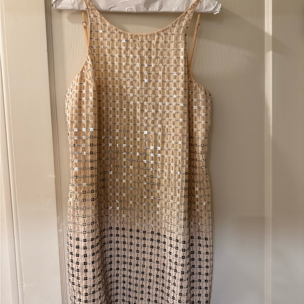 Parker Sequin Nude/Blush Dress